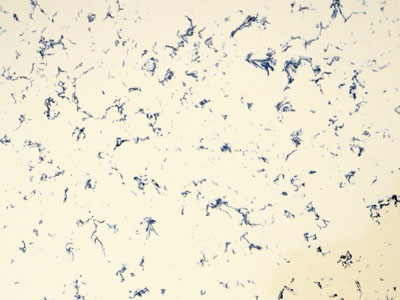 ���yϵ��ʯӢʯ